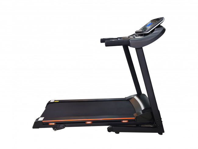 Беговая дорожка электрическая Royal Fitness RF-6